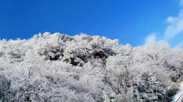 咖啡厅找不同