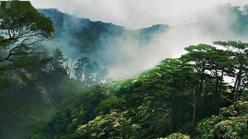 绘制像素图