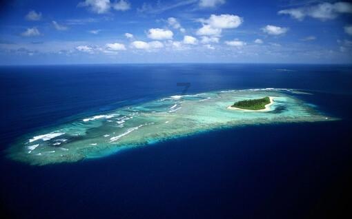 经济总量明年要破1.5万亿,郑州靠什么丨两会快评⑥