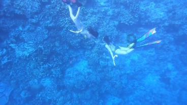 泰坦陨落2