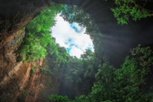 逃离椰子岛